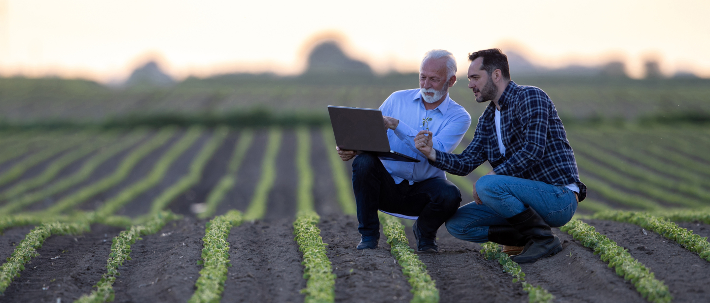 Large EV Tax Exemptions